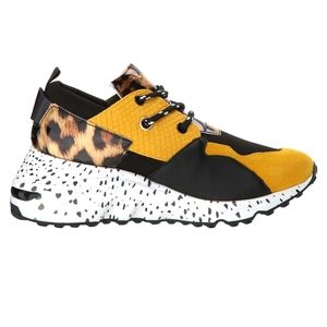 Steve Madden || cliff sneakers